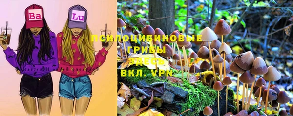 прущая мука Абаза